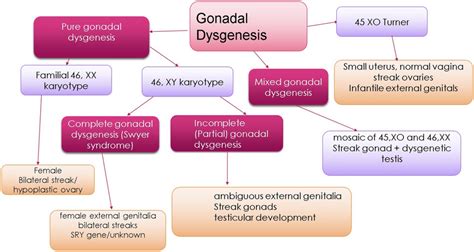 onyaldd25xy -site:youtube.com|XY gonadal dysgenesis .